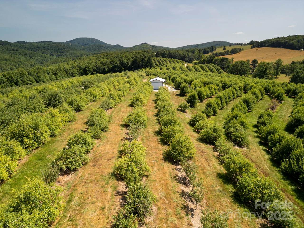 SR1713 Summer Road - Photo 1