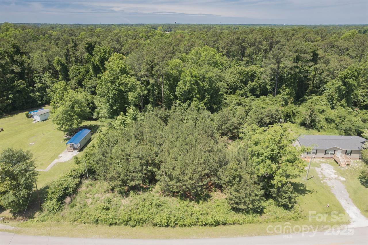 000A Lake Cole Road - Photo 1