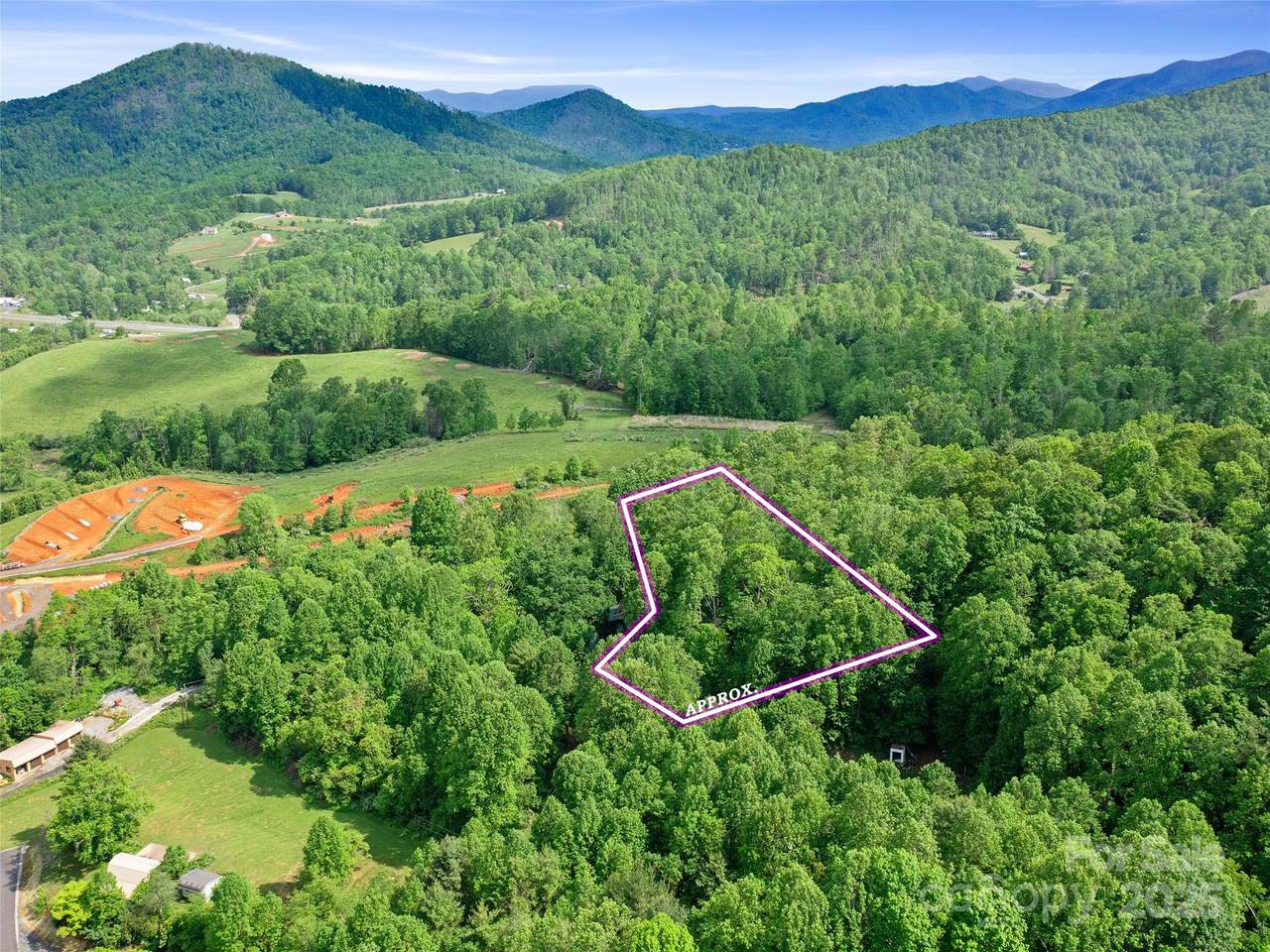 TBD Hinson Thomas Road - Photo 1