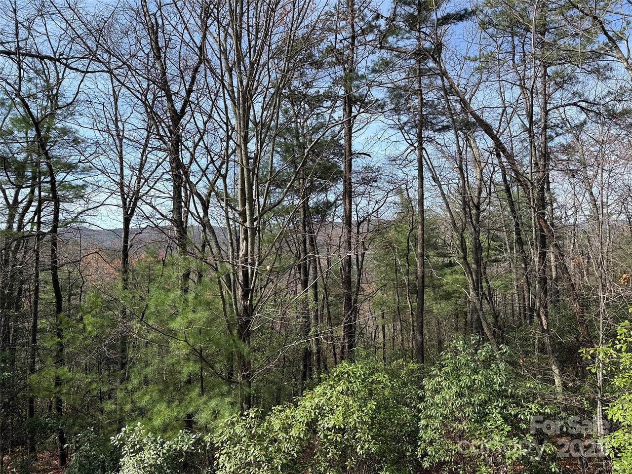 TBD Casey Mountain Road - Photo 1