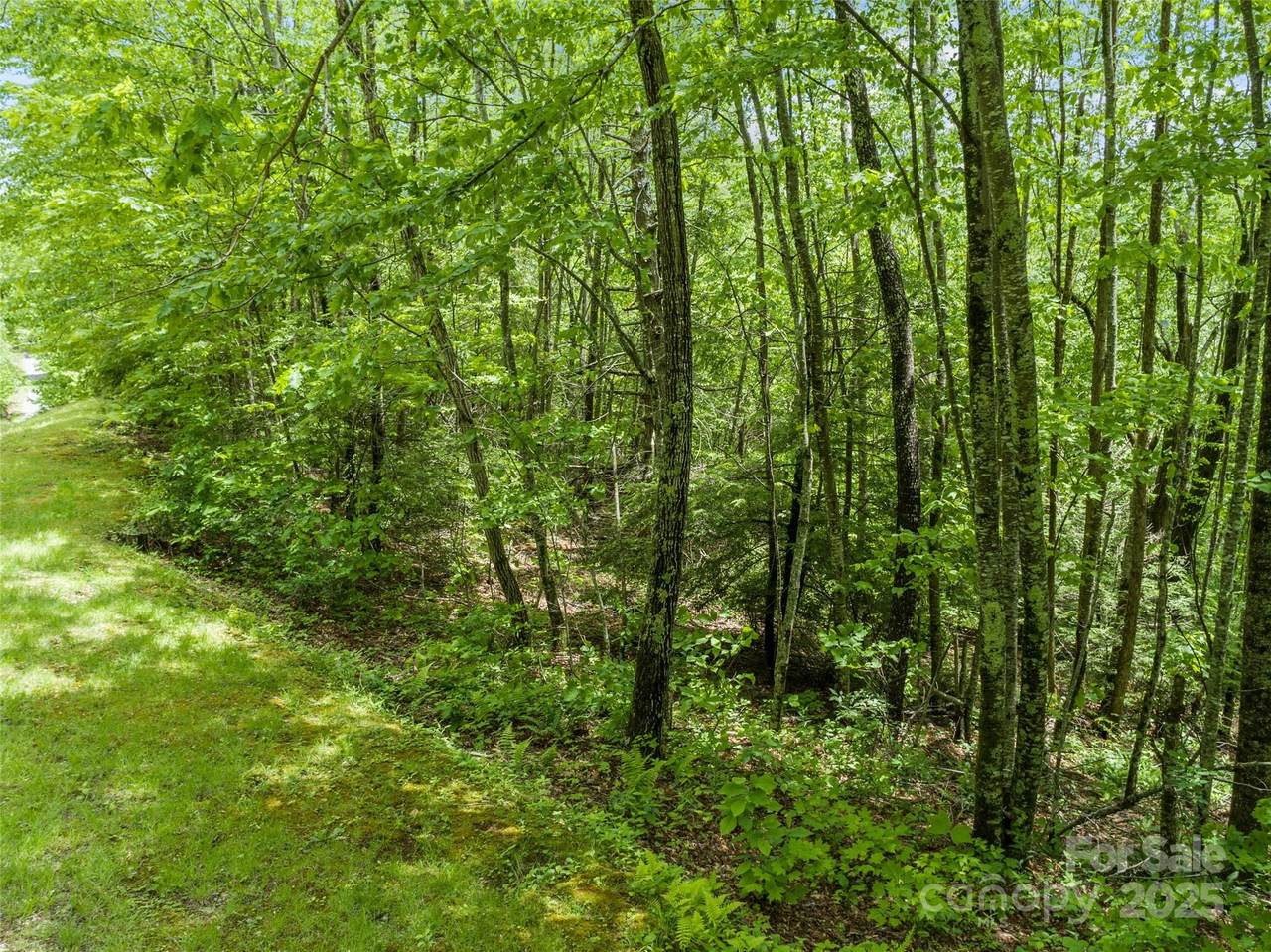000 Ridge Runner Road - Photo 1