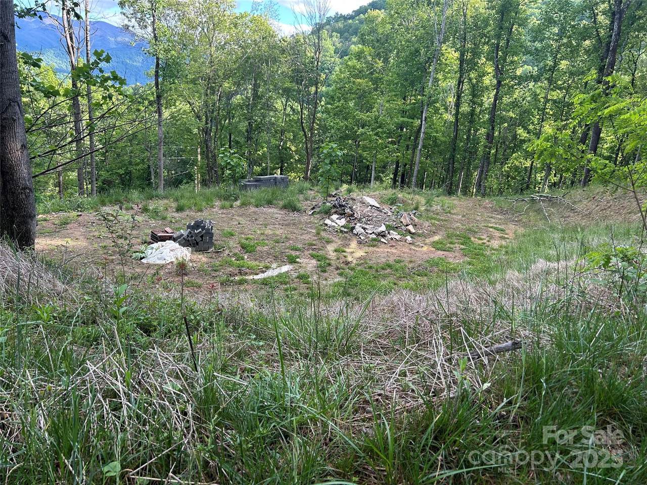 455 Spring Valley Drive - Photo 1