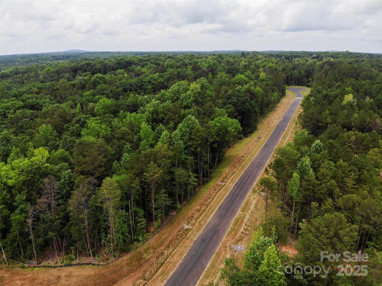 Lot 37 Snow Goose Walk Court - Photo 1
