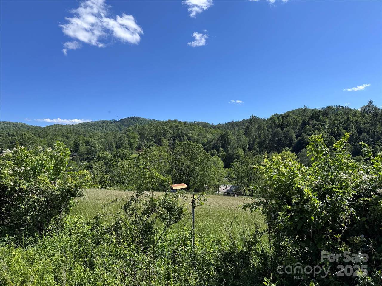 49 Loggy Hollow Road - Photo 1