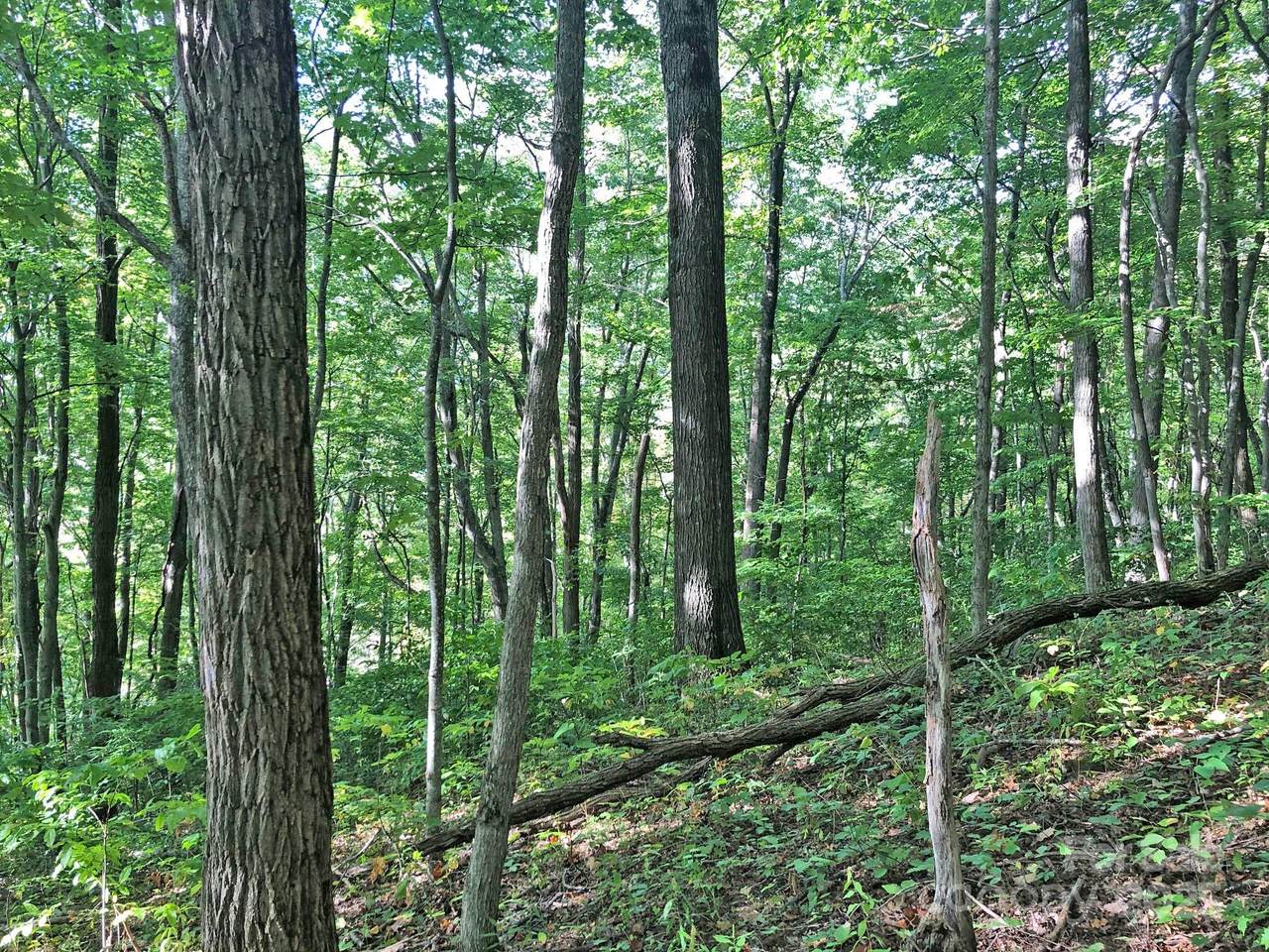 112 & 113 Grouse Road - Photo 1