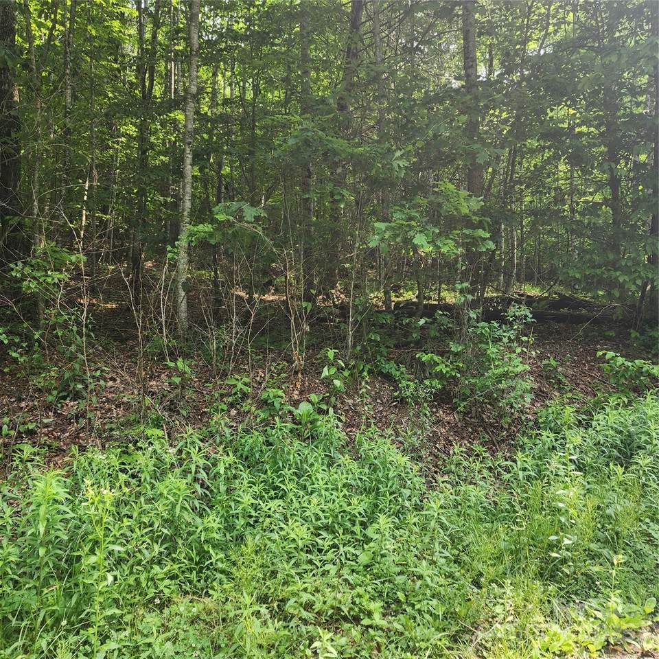 00 Poplar Creek Road - Photo 1
