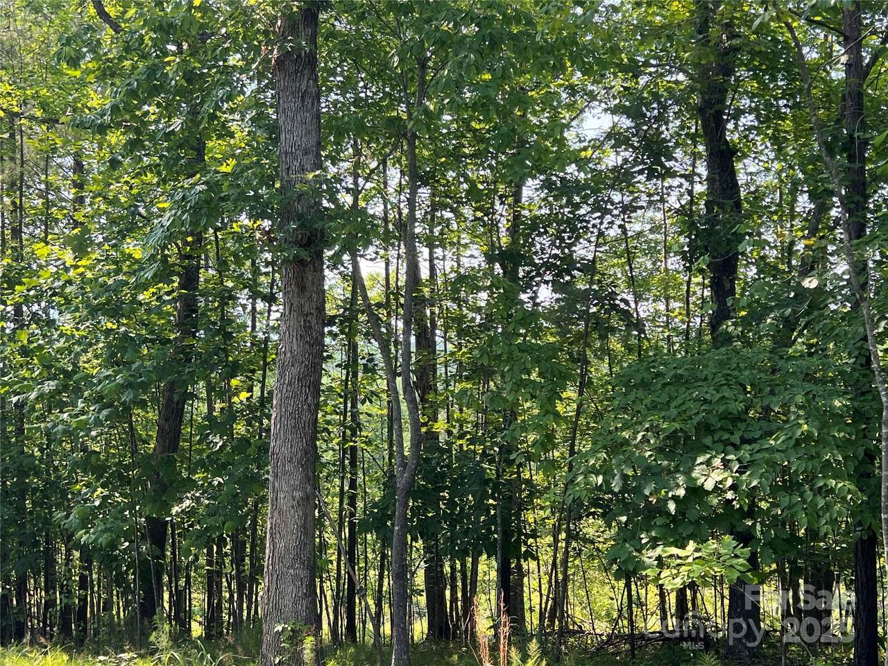 1015 Cross Ridge Drive - Photo 1