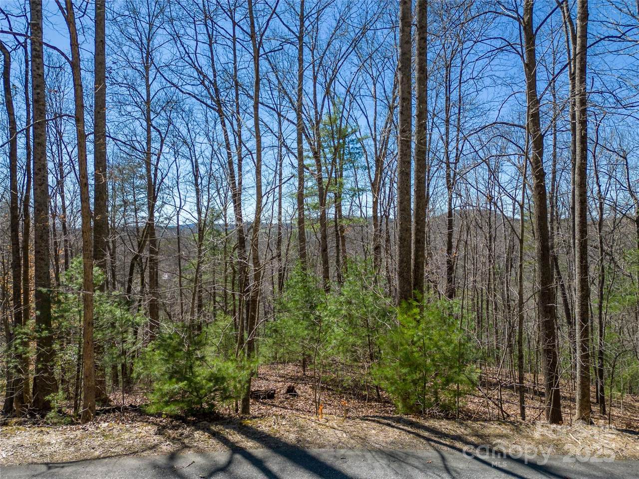 132 Overlook Park Drive - Photo 1
