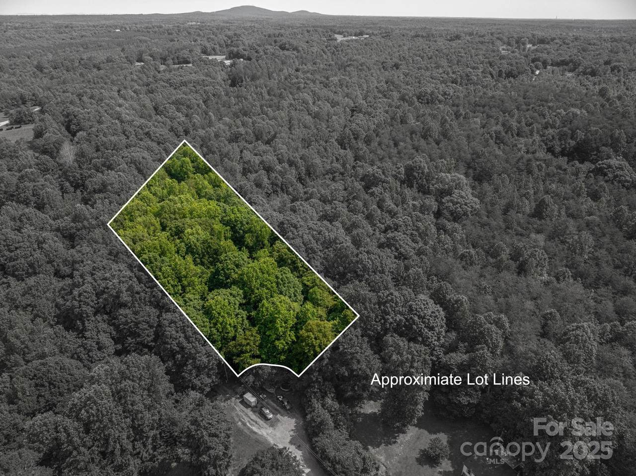 812 Trinity Lane - Photo 1