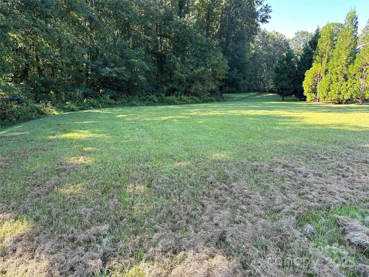 0000 Hogans Valley Way - Photo 1