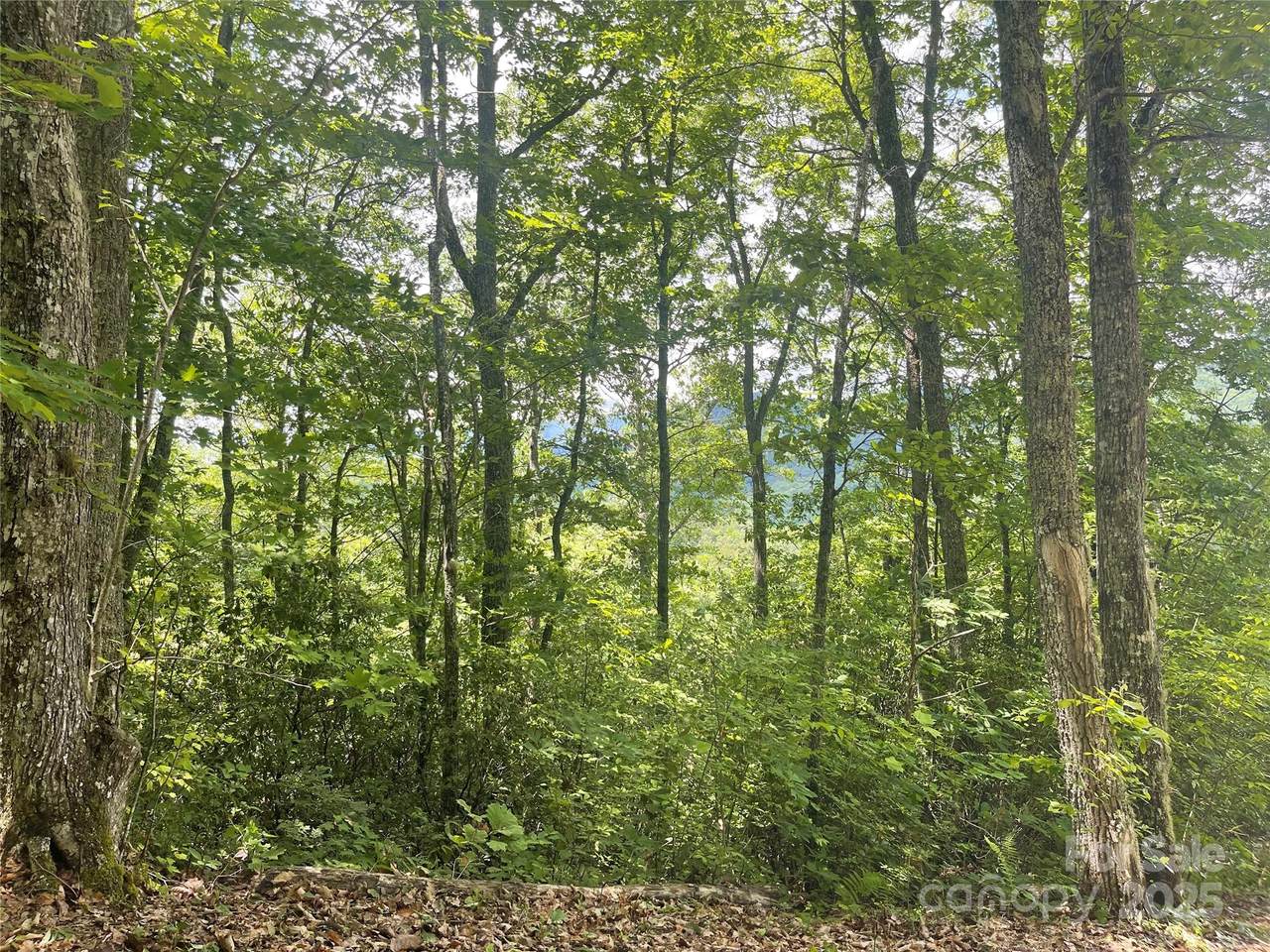 500 Fernwood Drive - Photo 1