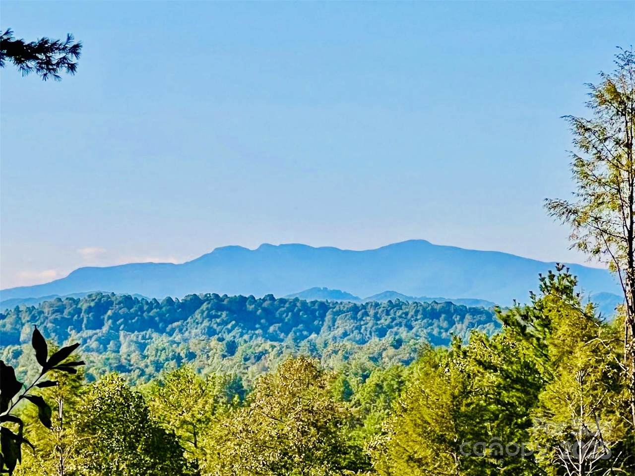 27 acres, 2058 Thoroughbred Way - Photo 1