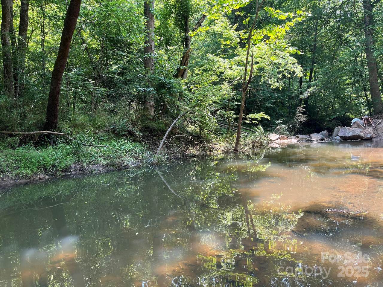 0000 Oakridge Road - Photo 1