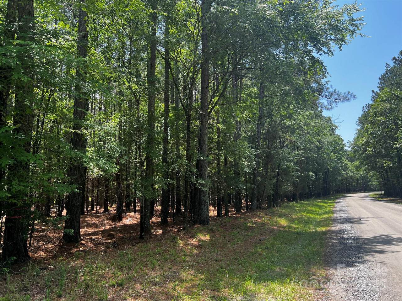 Lot B Sandlapper Drive - Photo 1