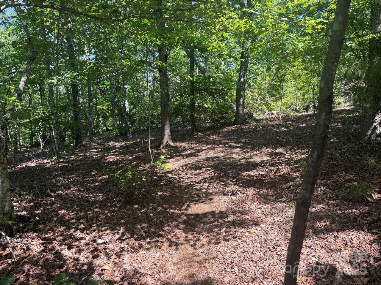 0 Crescent Ridge Lane - Photo 1