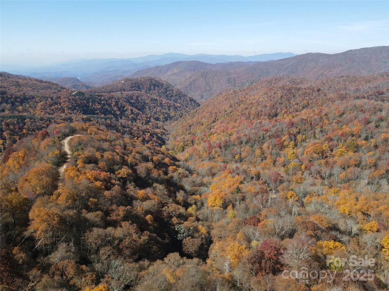 3837 Plott Balsam Road - Photo 1