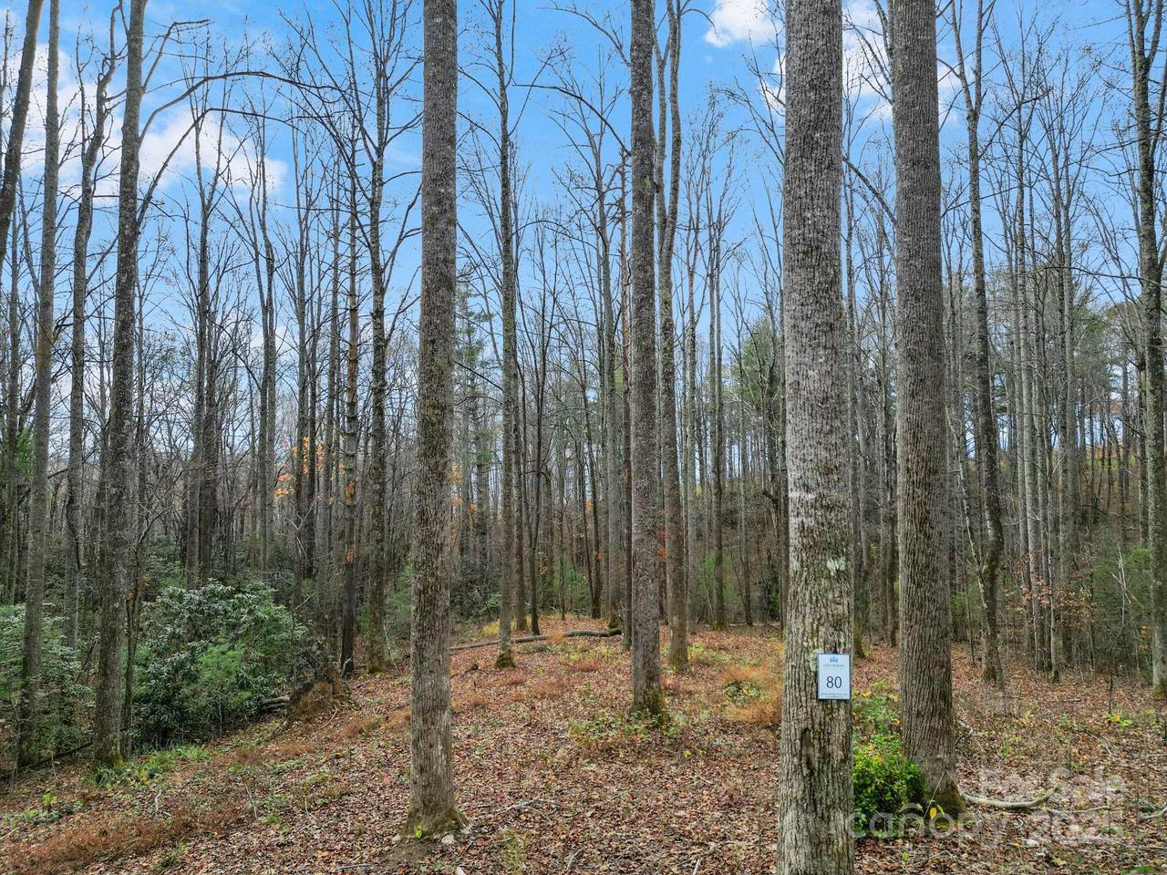 Lot 80 Mountain Grove Lane - Photo 1