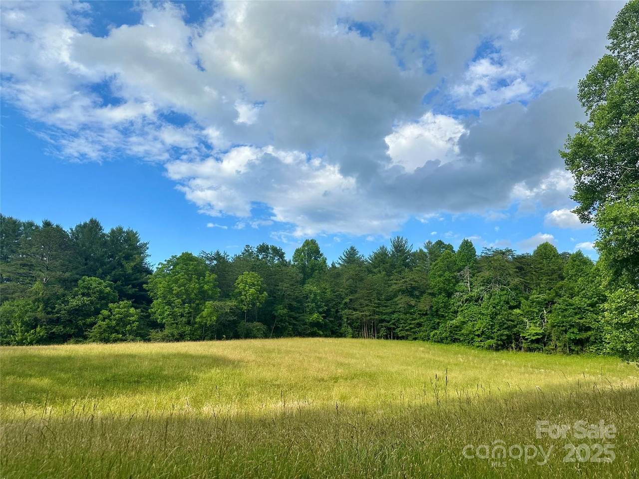 99999 Jenkins Valley Road - Photo 1