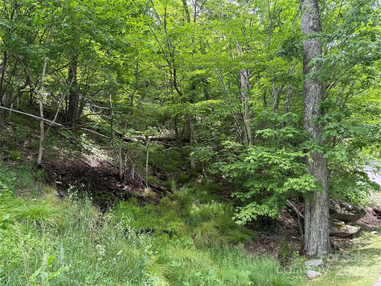 TBD Wakeman Way - Photo 1