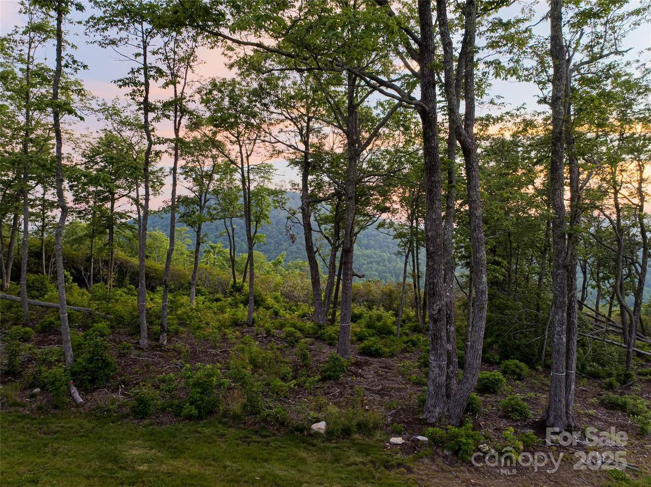 https://bt-photos.global.ssl.fastly.net/cmls/1280_boomver_1_4269059-1.jpg