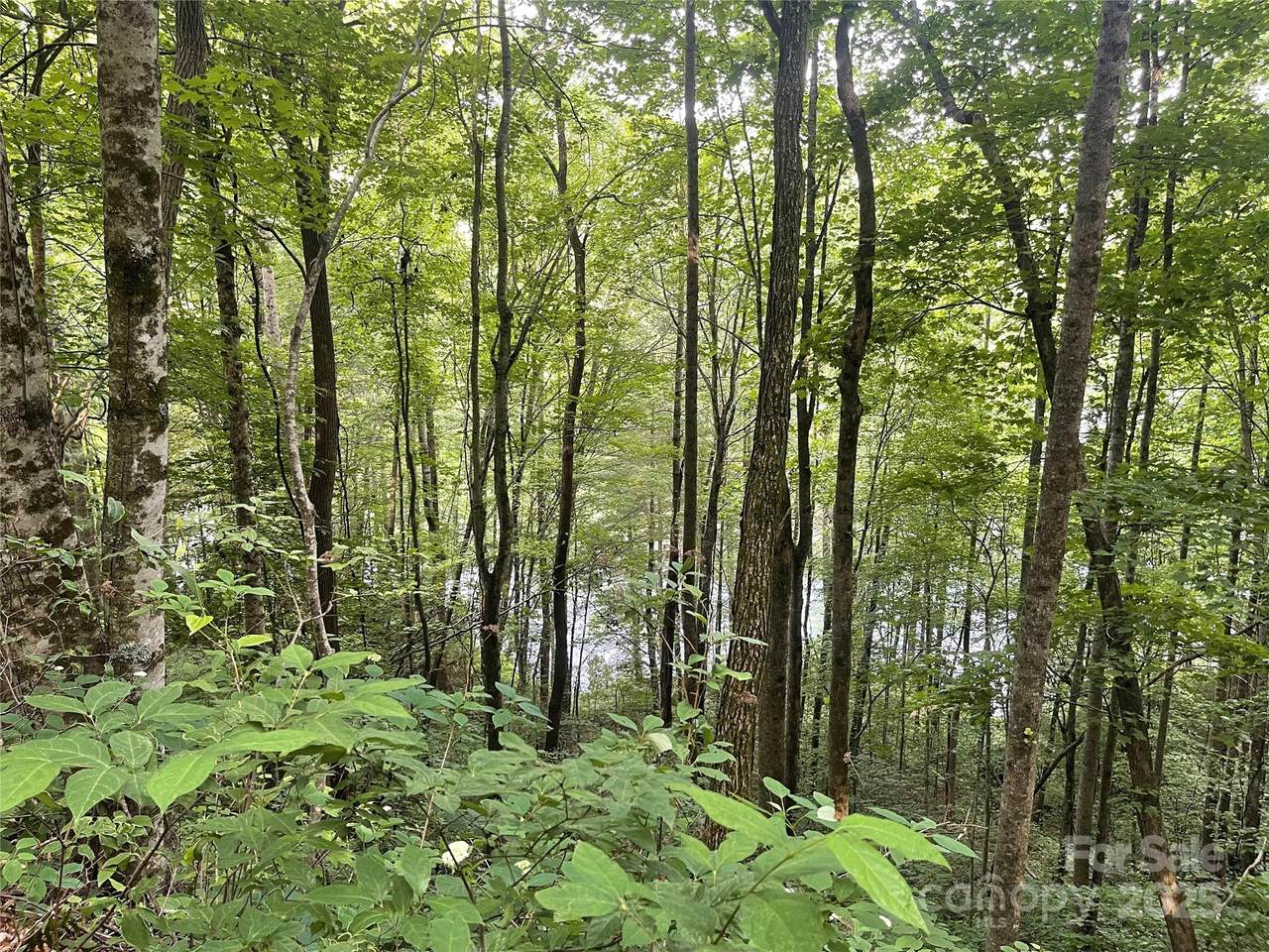 200 Sweet Birch Lane - Photo 1