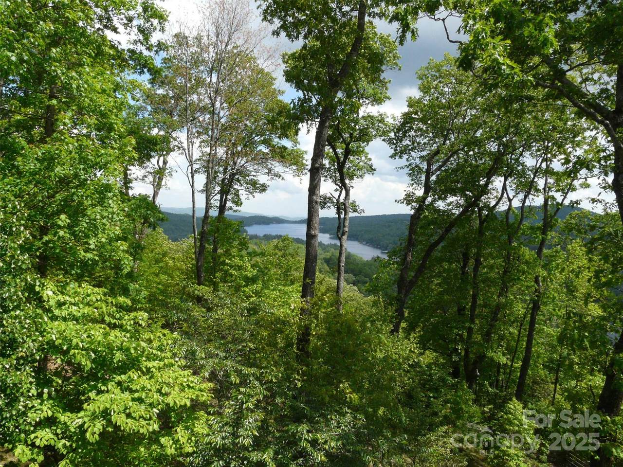 PR 22R Panther Ridge Road - Photo 1