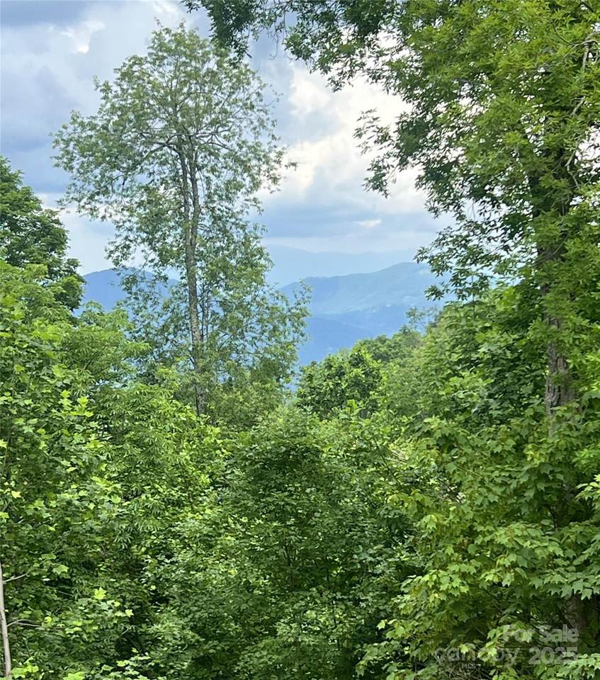 Lot 53 Mountain Air Drive - Photo 1
