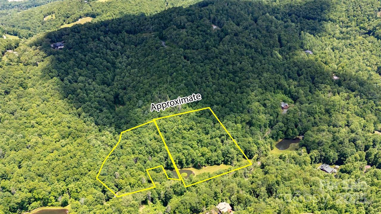 000 Golden Trout Drive - Photo 1