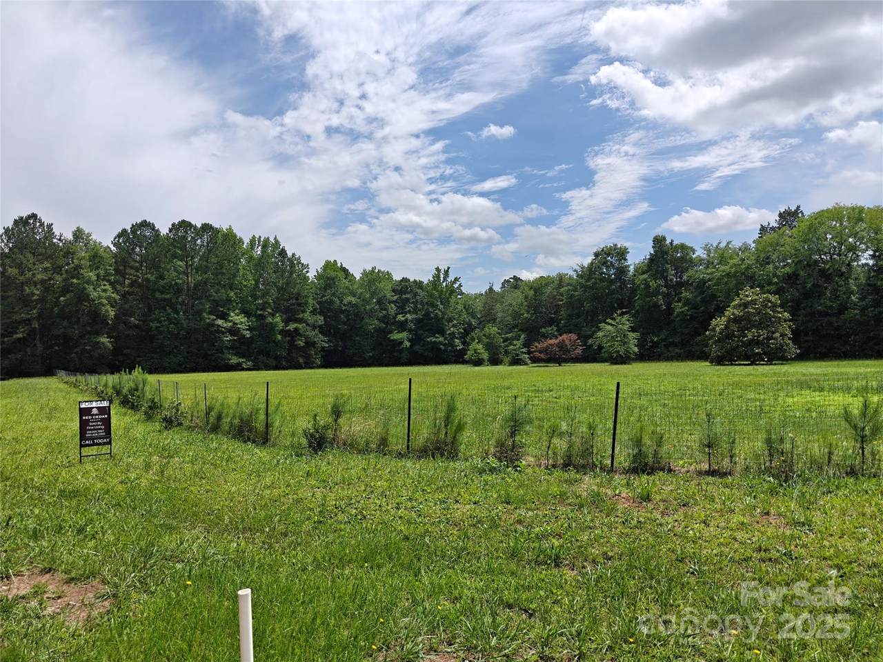 00 Mt Holly-Huntersville Road - Photo 1