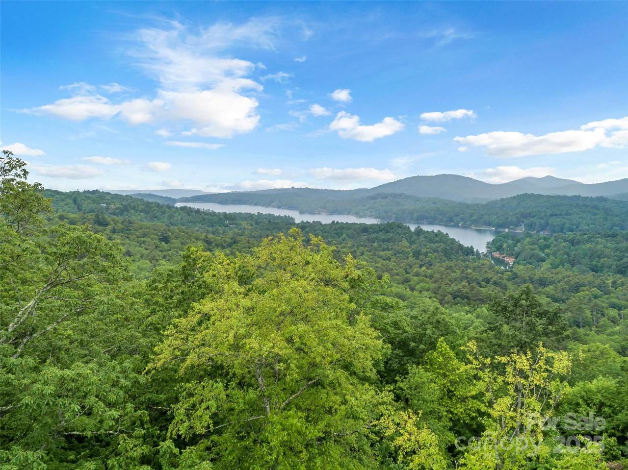 000 Squirrel Run Road - Photo 1