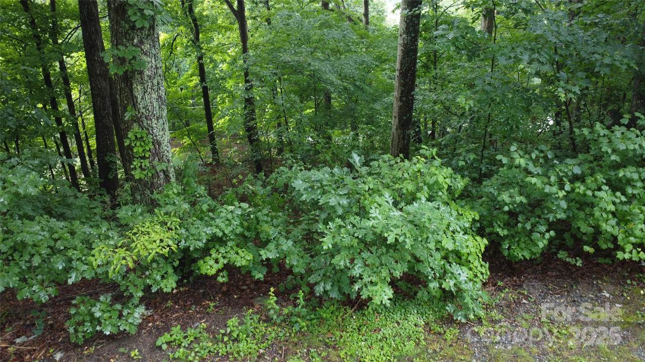 #46 Hemlock Trail - Photo 1