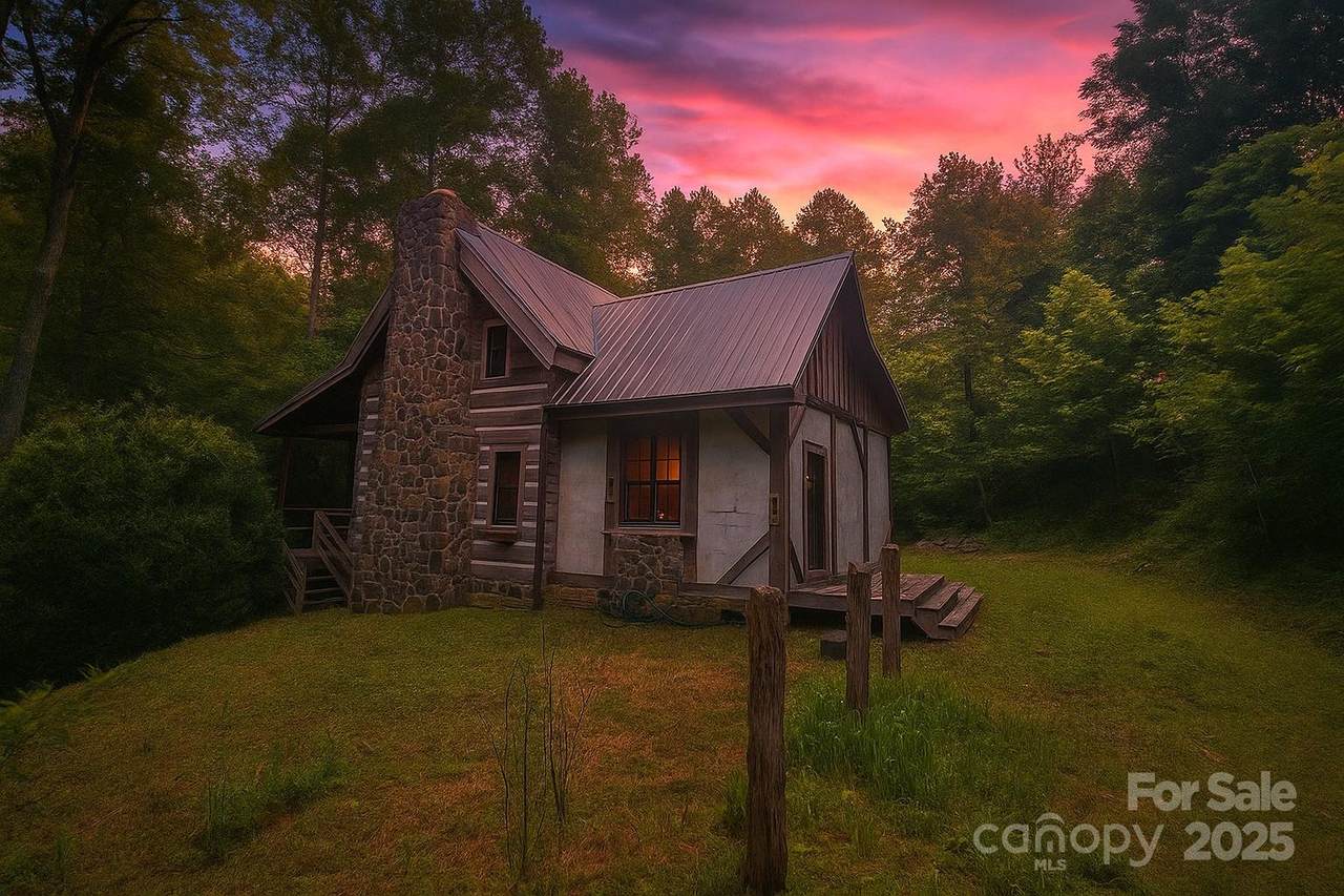 459 Old Yellow Mountain Road - Photo 1