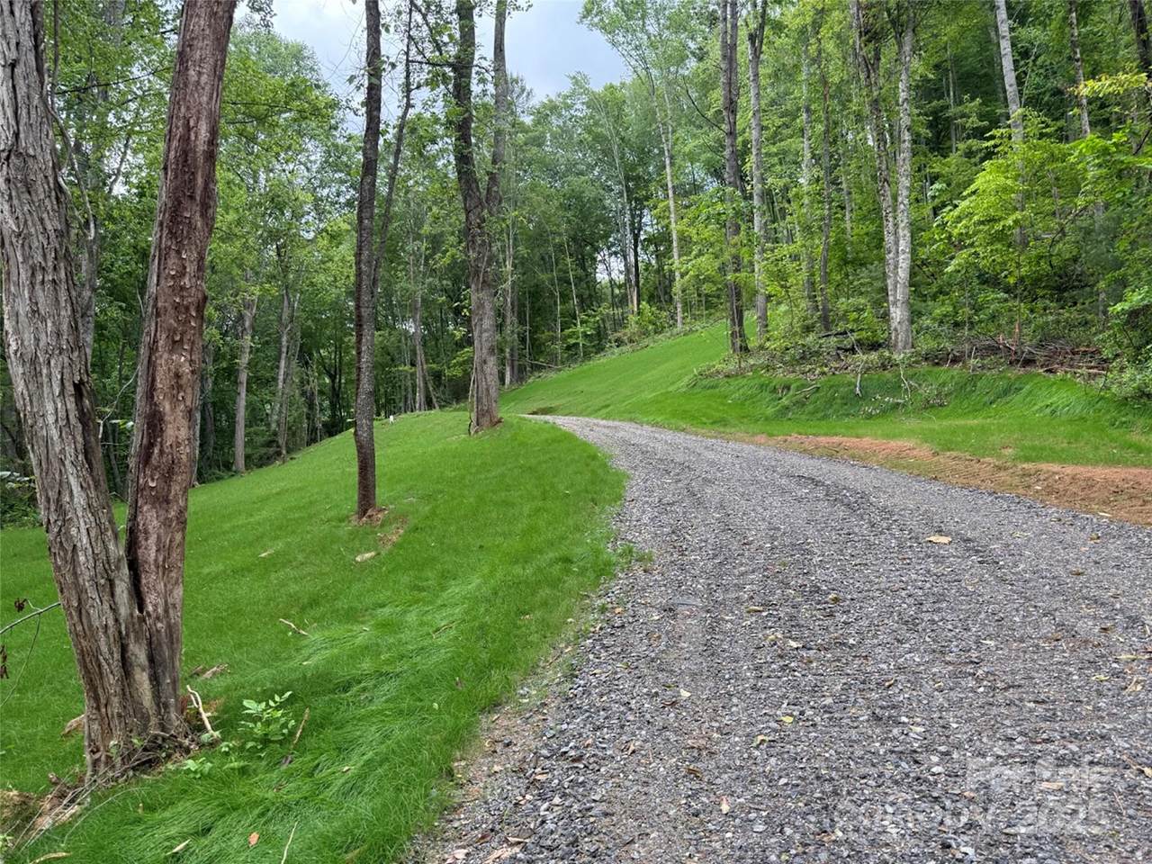 494 Long Branch Road - Photo 1