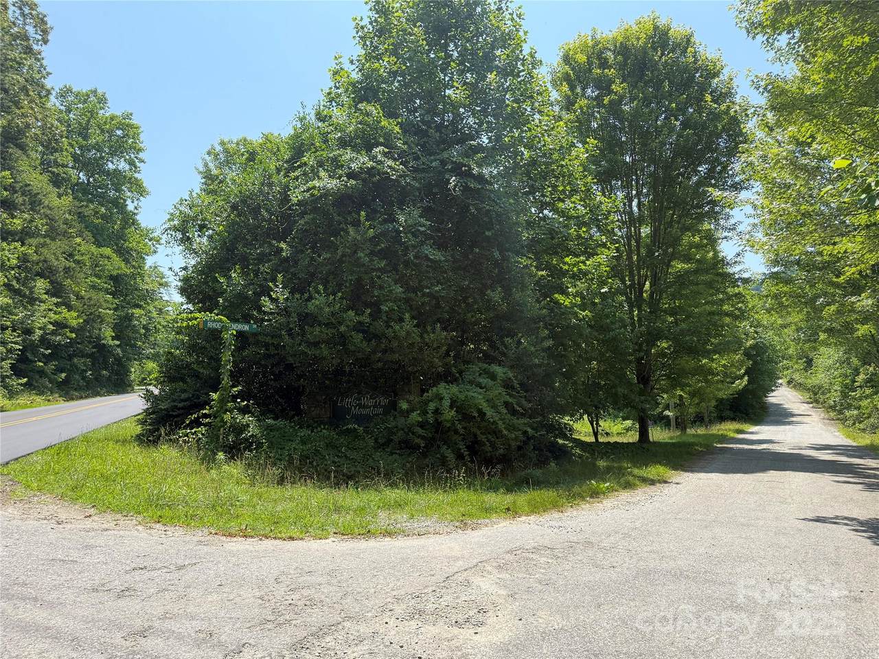 Lot 13 Rhododendron Drive - Photo 1
