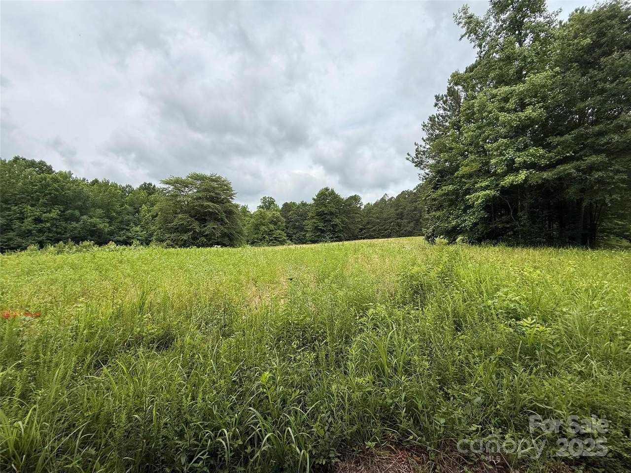 2430 Grubb Ferry Road - Photo 1