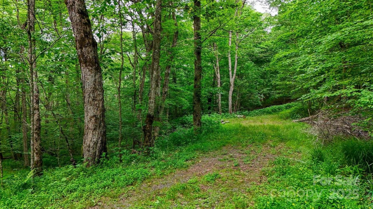 233 Woodland Springs Trail - Photo 1
