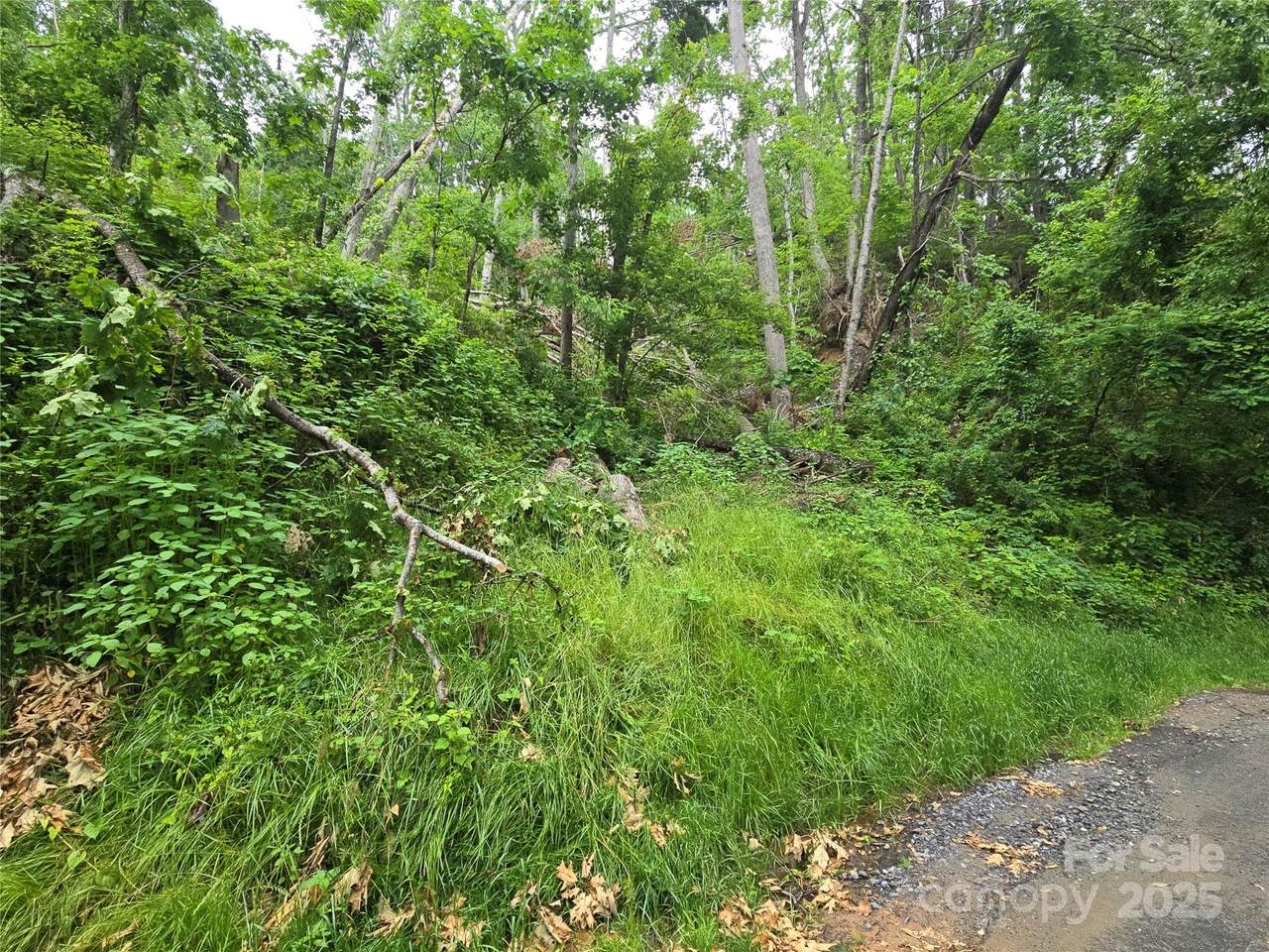 https://bt-photos.global.ssl.fastly.net/cmls/1280_boomver_1_4270727-1.jpg