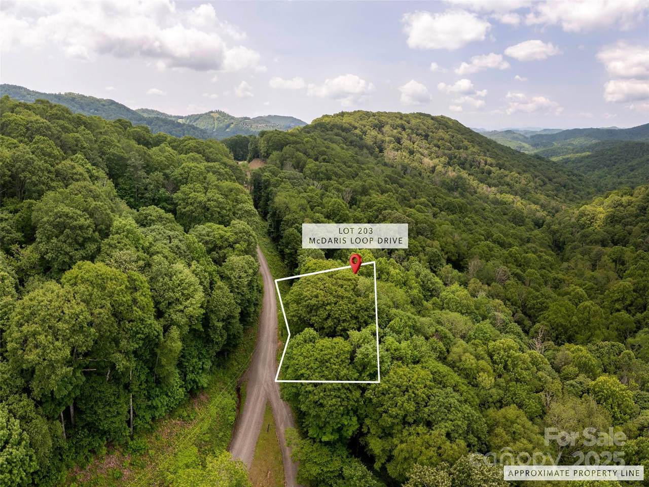 000 Mcdaris Loop Drive - Photo 1