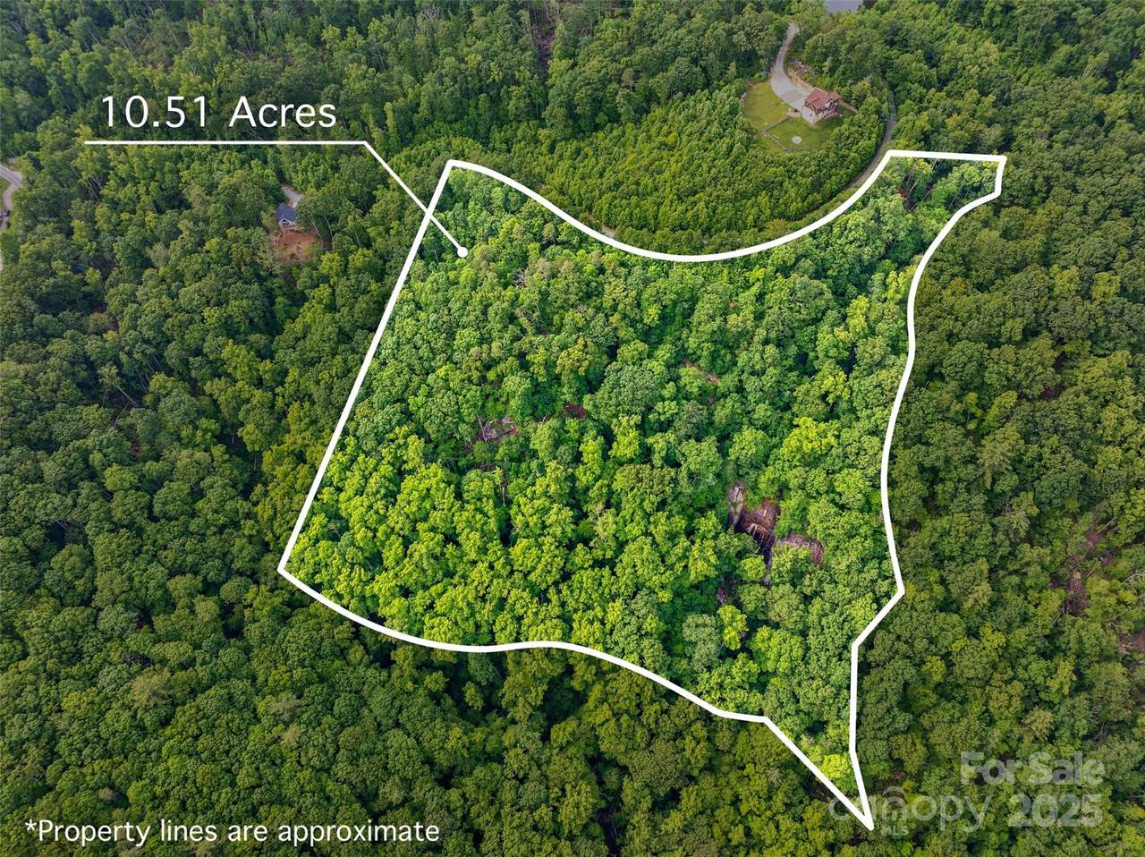 00 Locust Grove Road - Photo 1