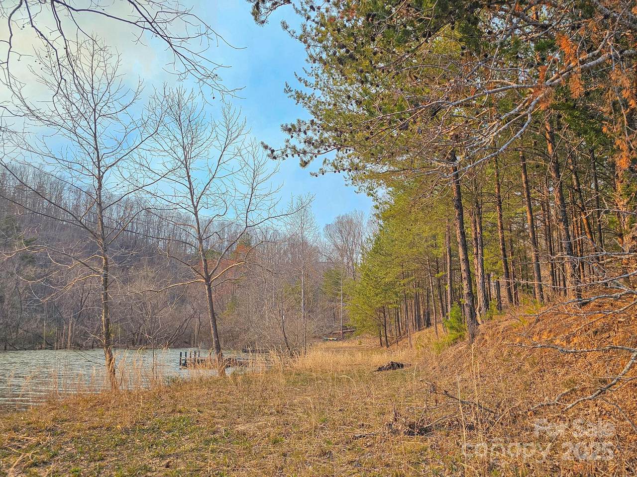 TBD Parkway Road - Photo 1