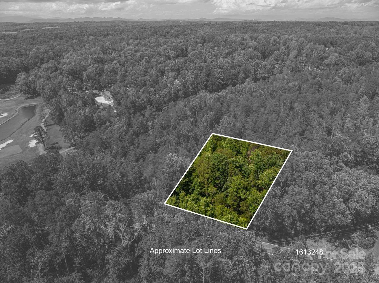 Lot 7 Cleghorn Mill Road - Photo 1