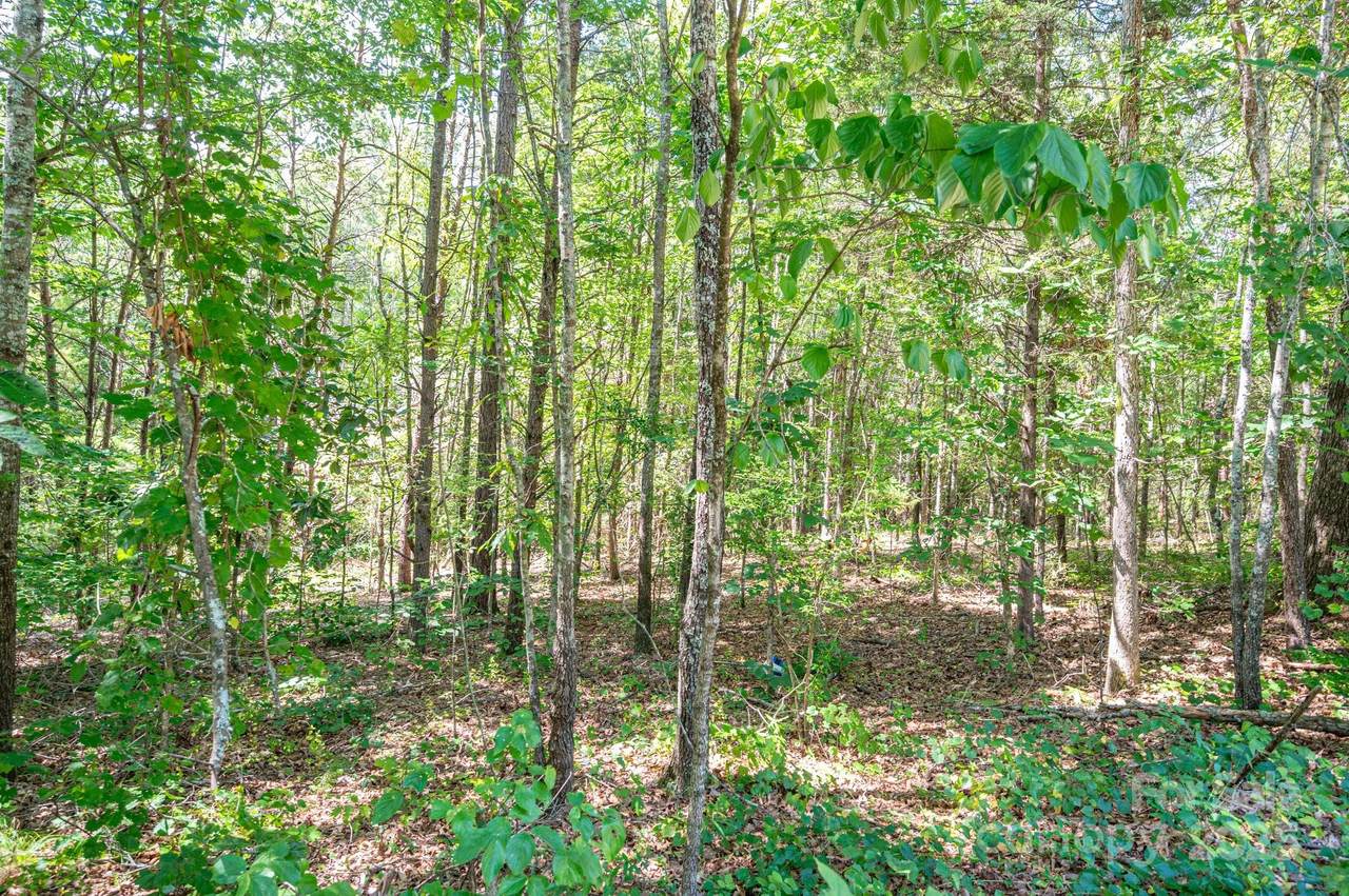 Lot # 16 Meadow Crossing Drive - Photo 1