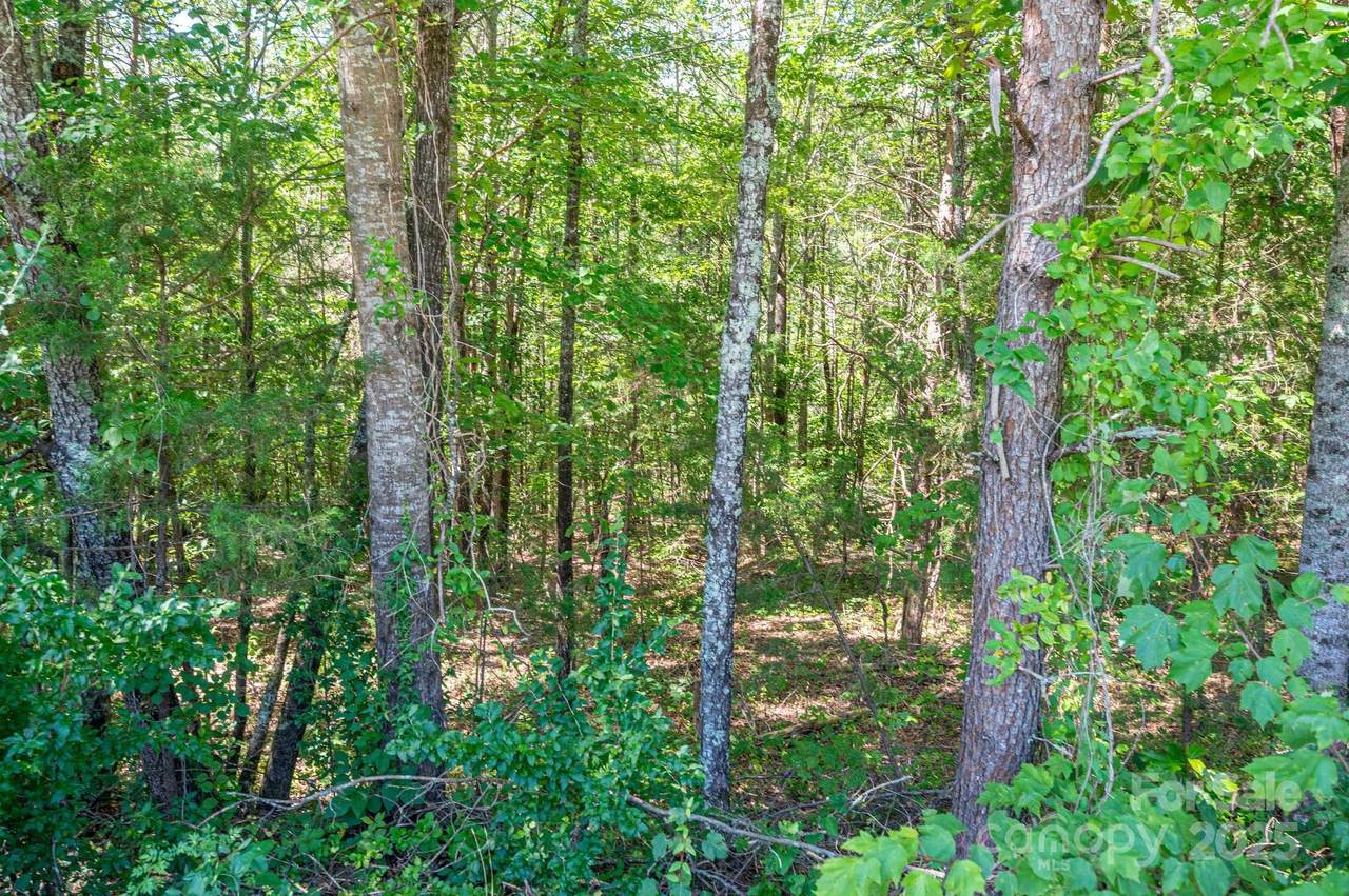 Lot 7 Meadow Crossing Drive - Photo 1