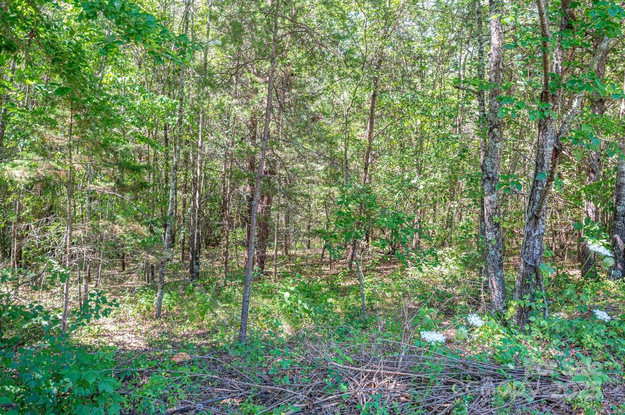 Lot # 15 Meadow Crossing Drive - Photo 1