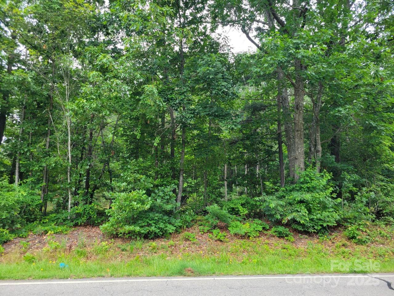 0 Dairy Road - Photo 1