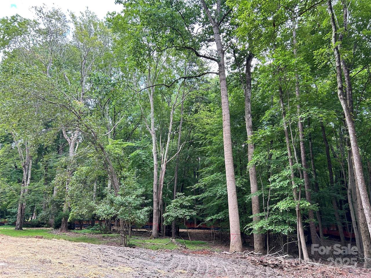 3415 Lakeside Drive - Photo 1