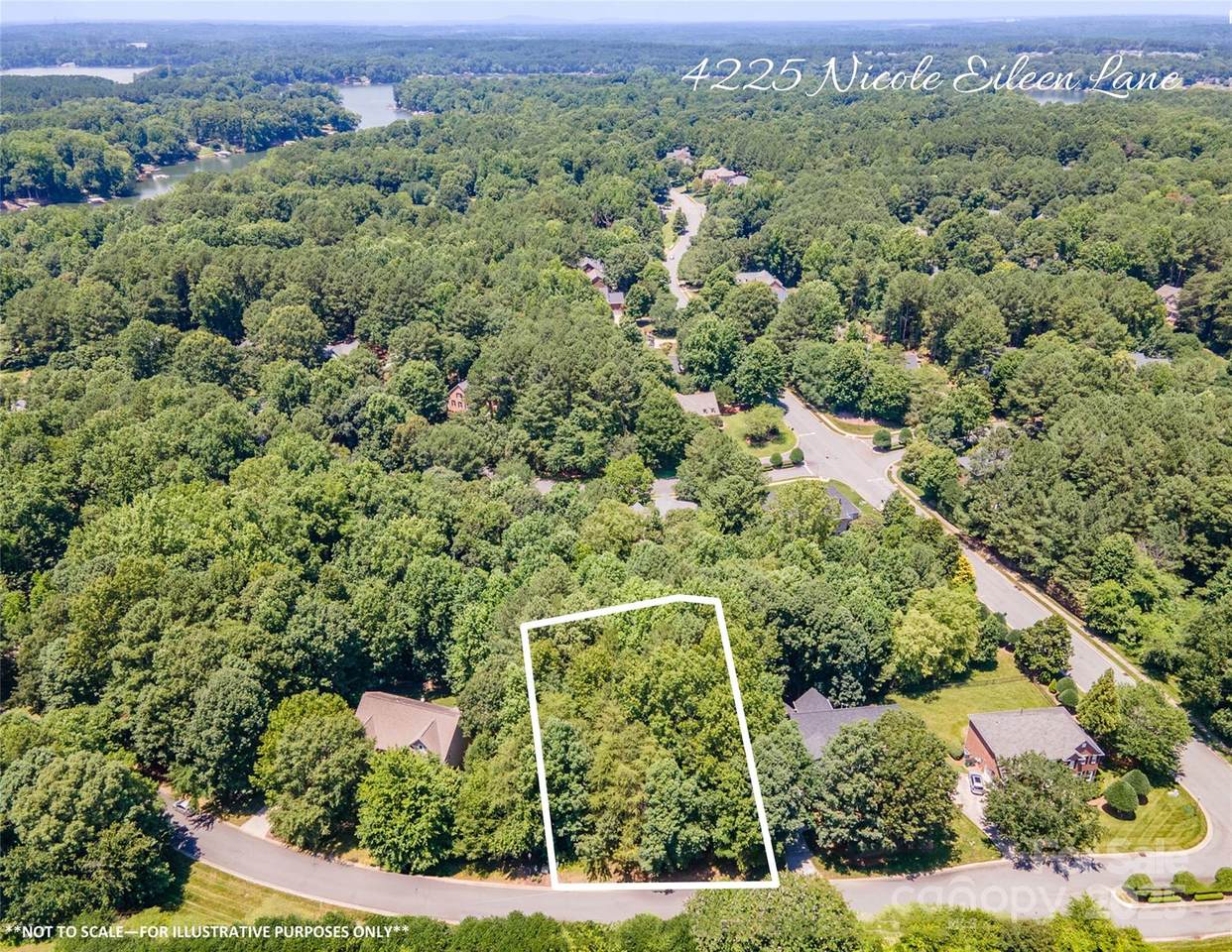 4225 Nicole Eileen Lane - Photo 1