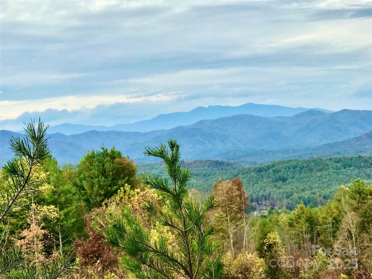 1.62 acres Lot 204B Johns Ridge Parkway - Photo 1