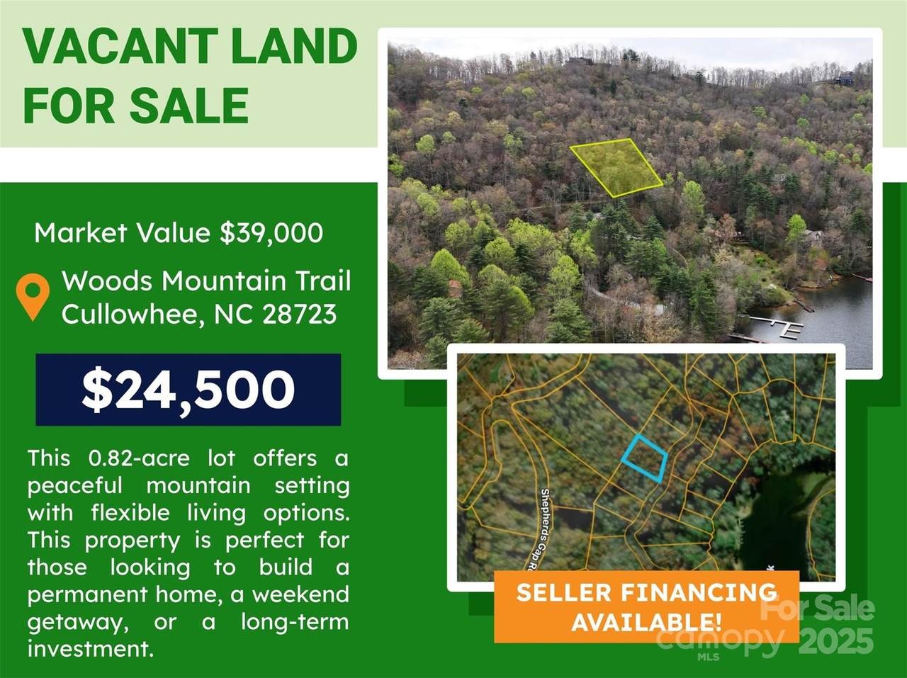 Lot 3 Woods Mountain Trail - Photo 1