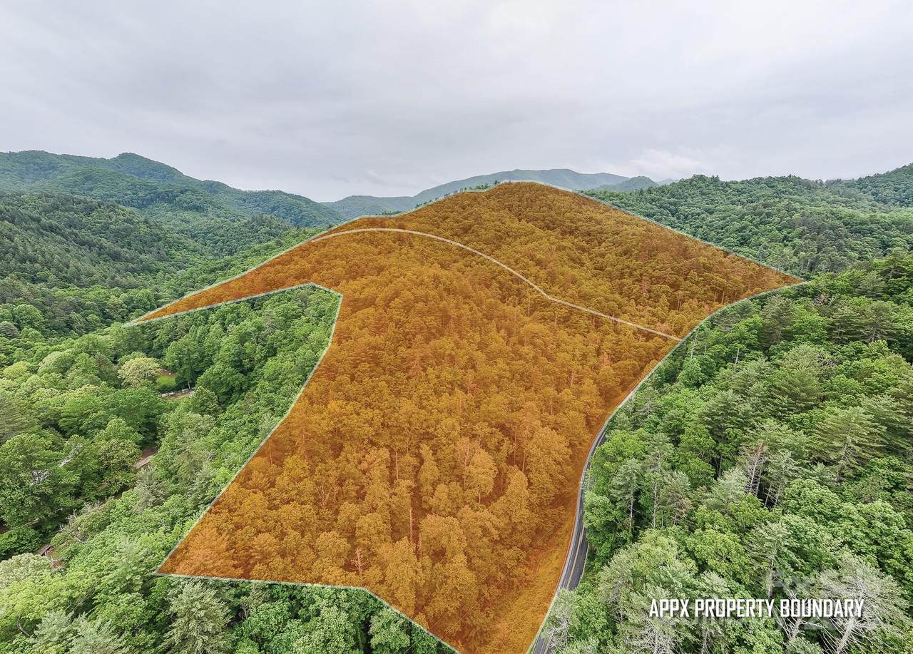 399 Shell Stand Road - Photo 1